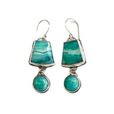 Blue Opalized Wood Earrings